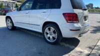 GLK 250 Bluetech 2014