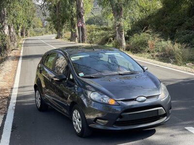 Ford Fiesta 1.6 Nafte 2010 EcoNetic Diesel