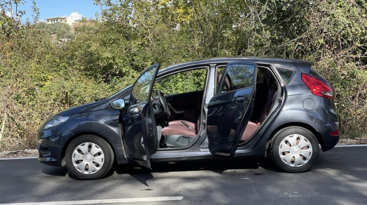 Ford Fiesta 1.6 Nafte 2010 EcoNetic Diesel